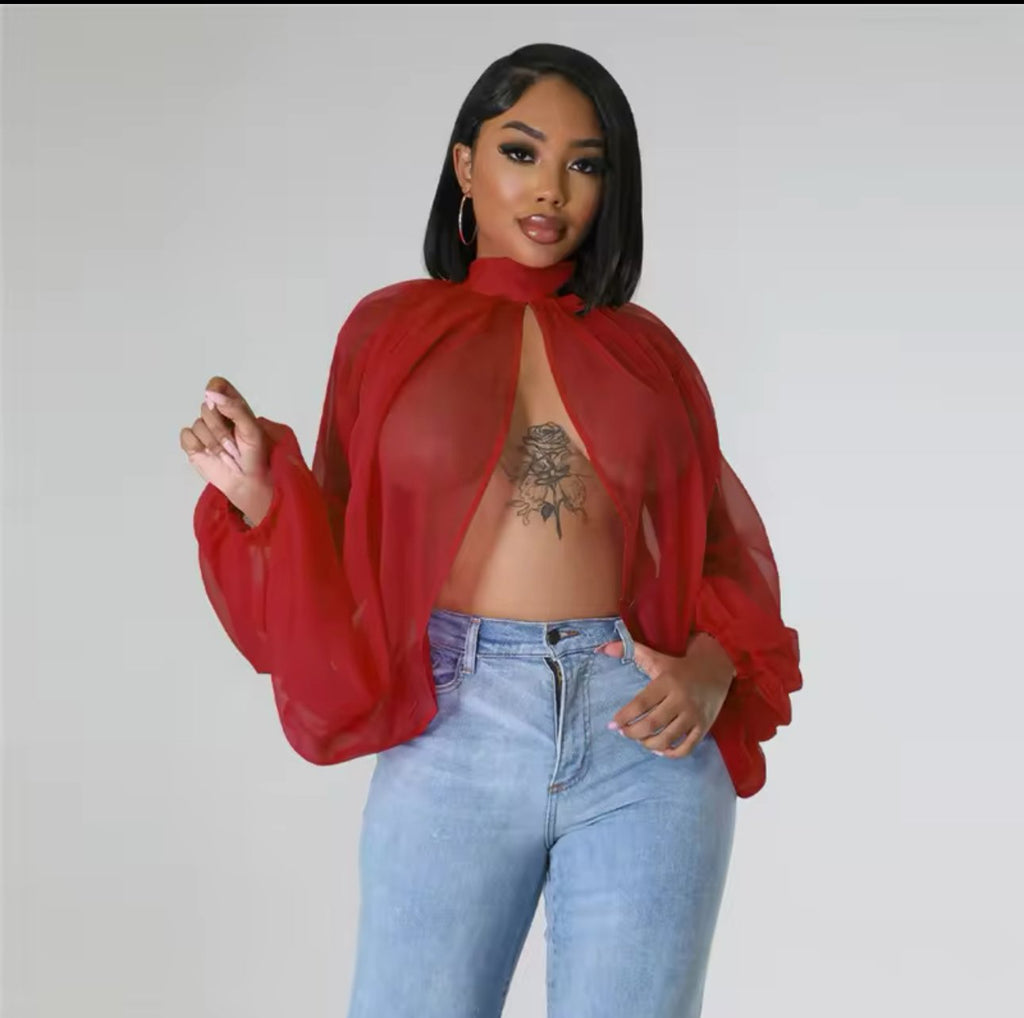 SD2734 - Claret, M image