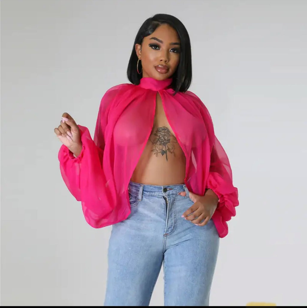 SD2734 - Rose Red, L image