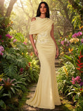 SDE3253 Elegant Sequin Applique Chiffon Mermaid Dress