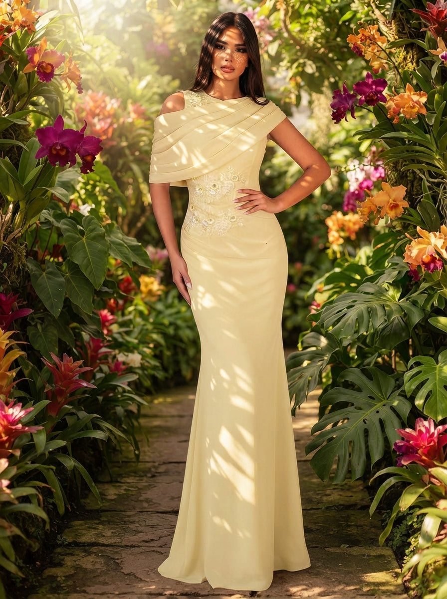 SDE3253 Elegant Sequin Applique Chiffon Mermaid Dress