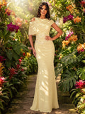 SDE3253 Elegant Sequin Applique Chiffon Mermaid Dress